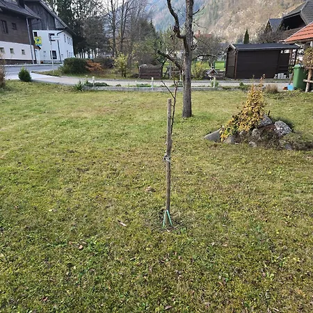 Apartmaji Pri Junesko