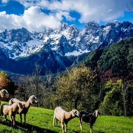 Apartmaji Pri Junesko * Kranjska Gora