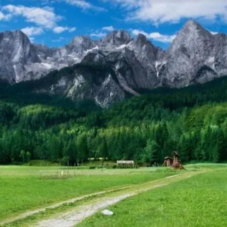 Apartmaji Pri Junesko Apartman