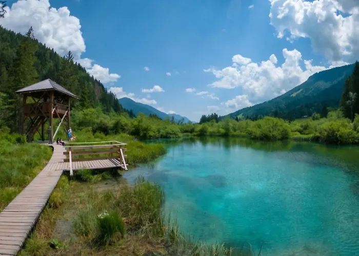 Apartmaji Pri Junesko דירה *