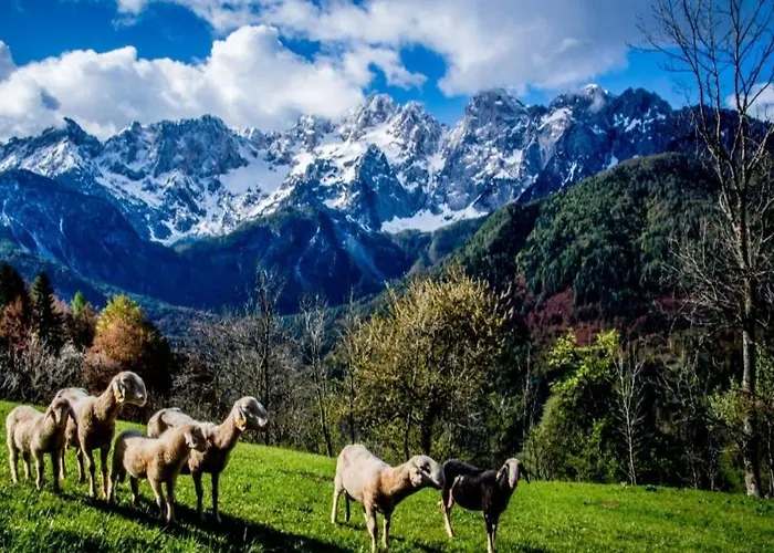 Apartmaji Pri Junesko * קרנייסקה גורה