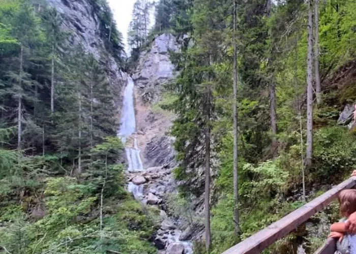 Apartmaji Pri Junesko