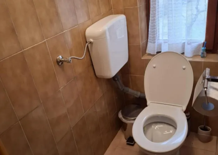 Apartmaji Pri Junesko דירה *